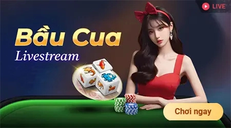 8live sân chơi livestream bầu cua